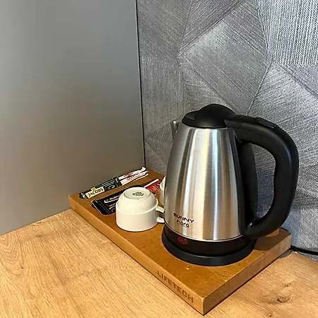 Grand Muedueroglu 酒店 艾登